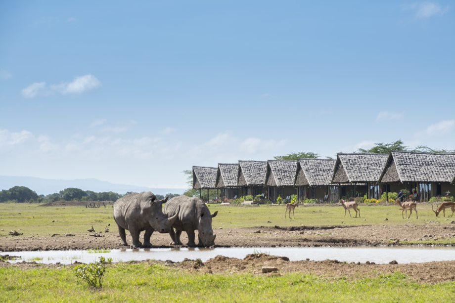 3 Days 2 Nights Aberdare & Sweetwaters Game Reserve Safari