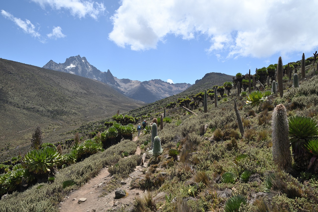 5 Days 4 Nights Mt Kenya Climbing Naromoru - Chogoria Route