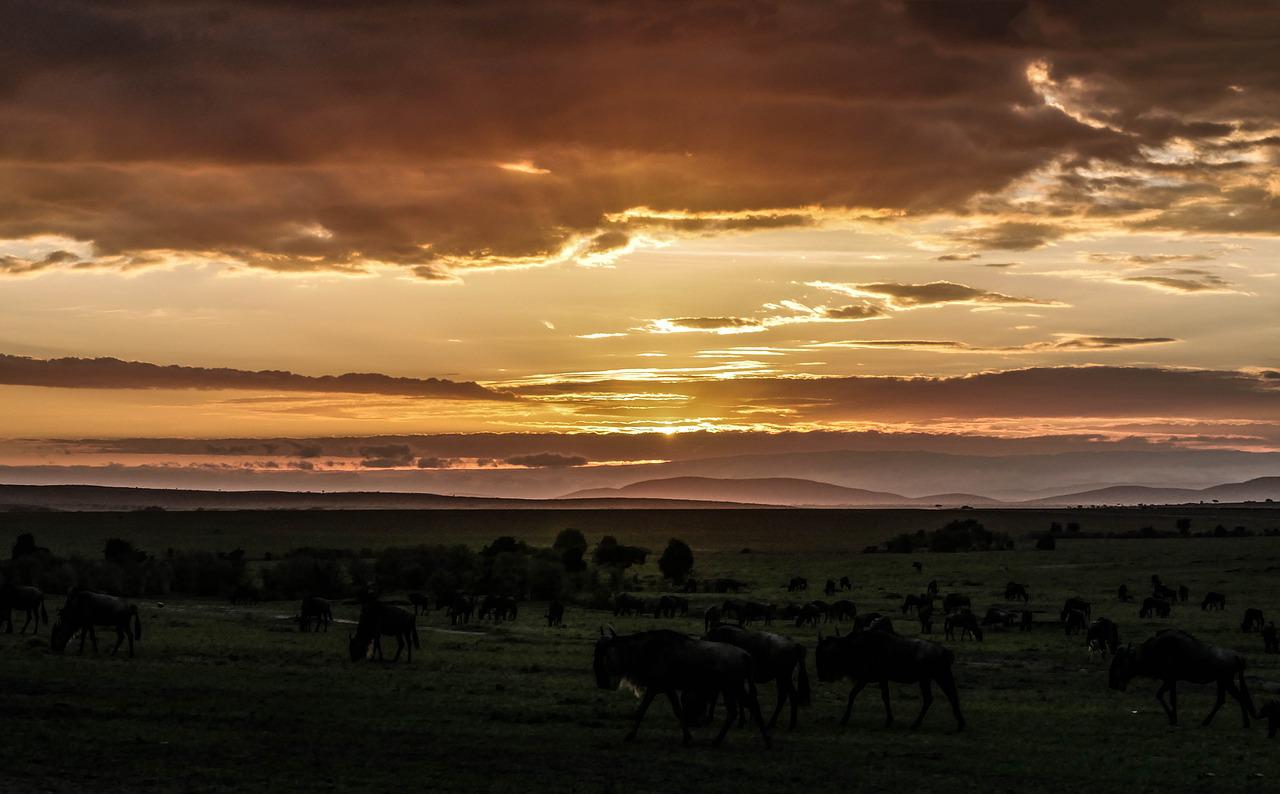 6 Days 5 Night Maasai Mara Nakuru Amboseli