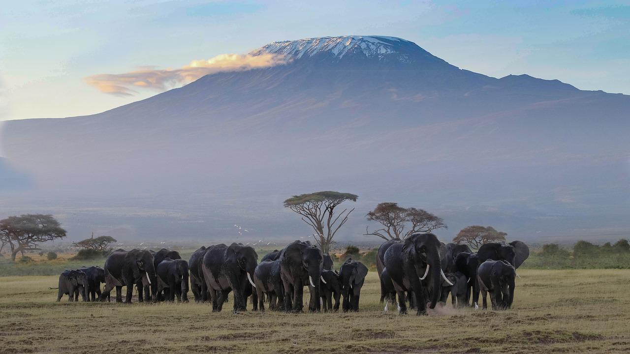 6 Days 5 Nights Amboseli – Lake Naivasha – Masai Mara Safari