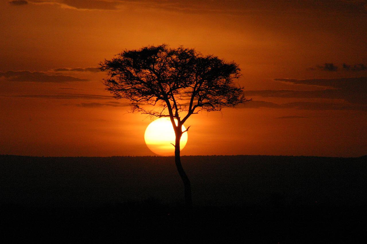 7 Days/ 6 Nights Masai Mara, Lake Nakuru, Lake Naivasha And Amboseli Safari